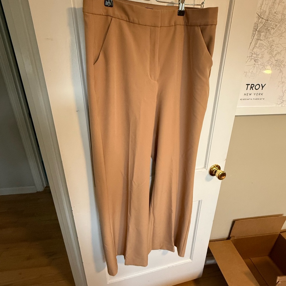 Editor Flare Trouser, High Rise 12 R